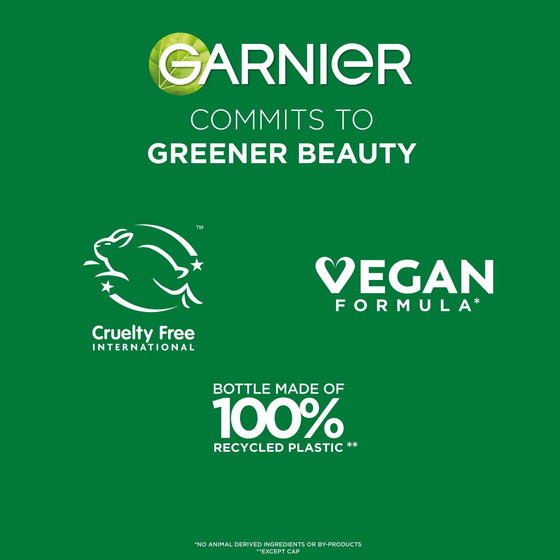 Garnier Fructis Sleek and Shine Fortifying Shampoo for Frizzy, Dry Hair, 12.5 fl oz