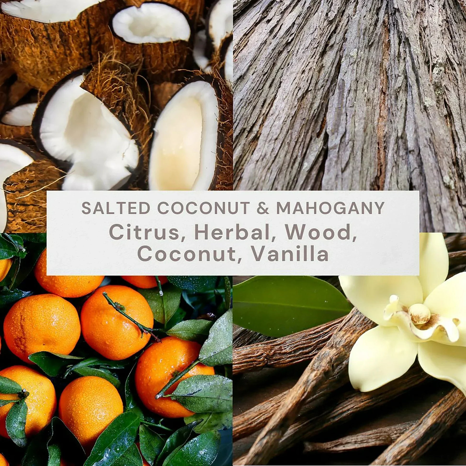 Better Homes & Gardens Salted Coconut and Mahogany Scented 2-Wick 17.1oz Ribbed Jar Candle