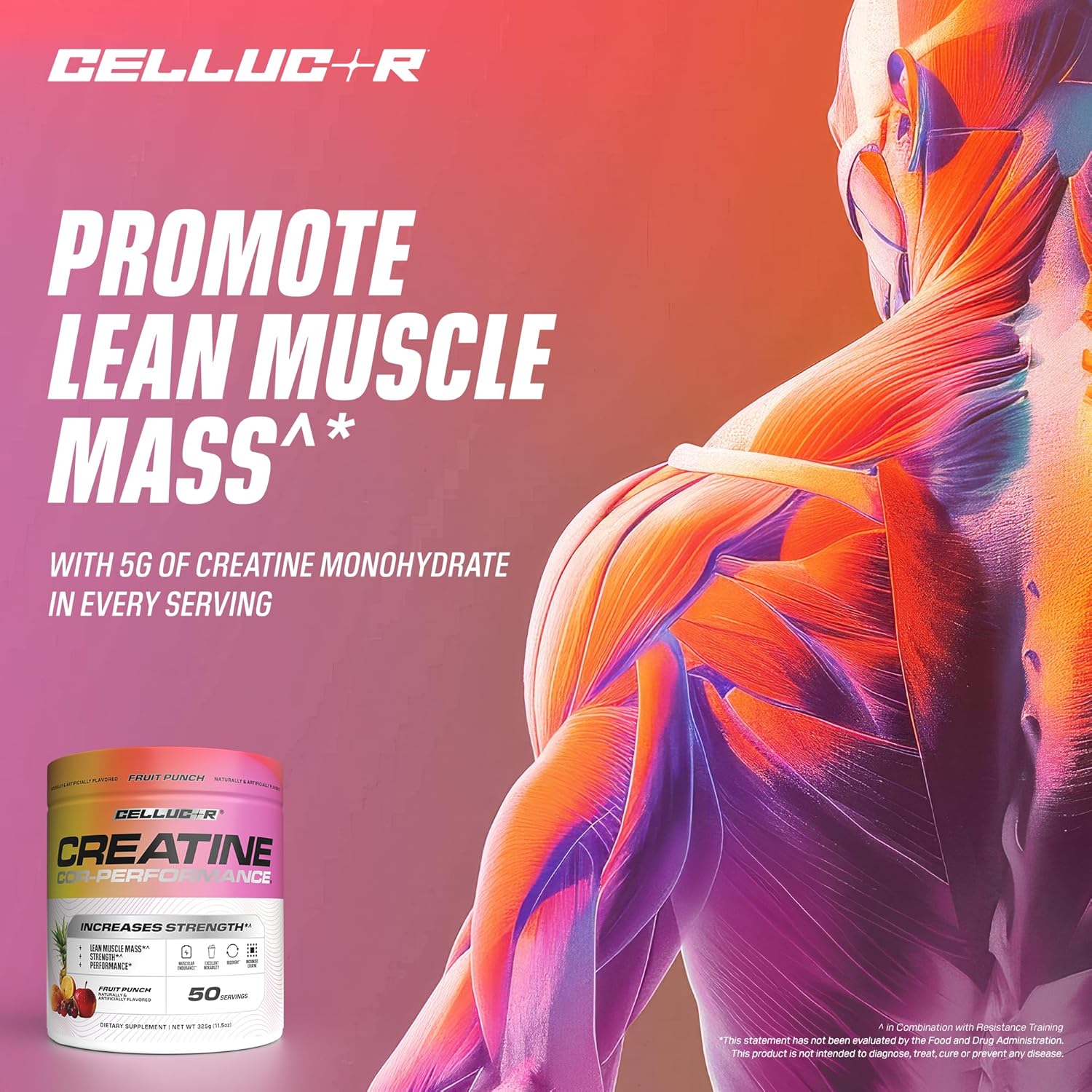 Cellucor Creatine Powder, 50 Fruit Punch Servings, Micronized