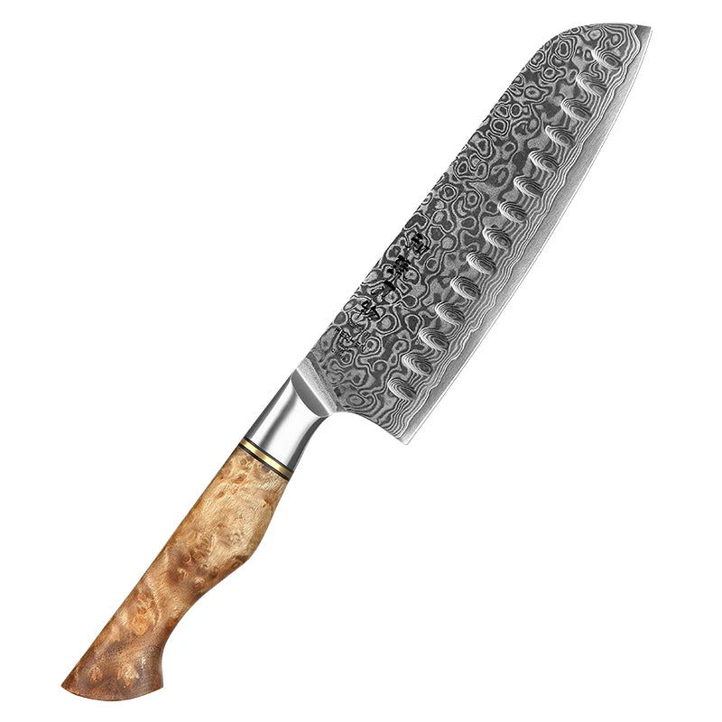 HEZHEN Damascus Knife Set – 5PCS Professional Chef, Santoku, Utility & Paring Knives