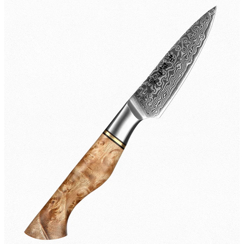 HEZHEN Damascus Knife Set – 5PCS Professional Chef, Santoku, Utility & Paring Knives
