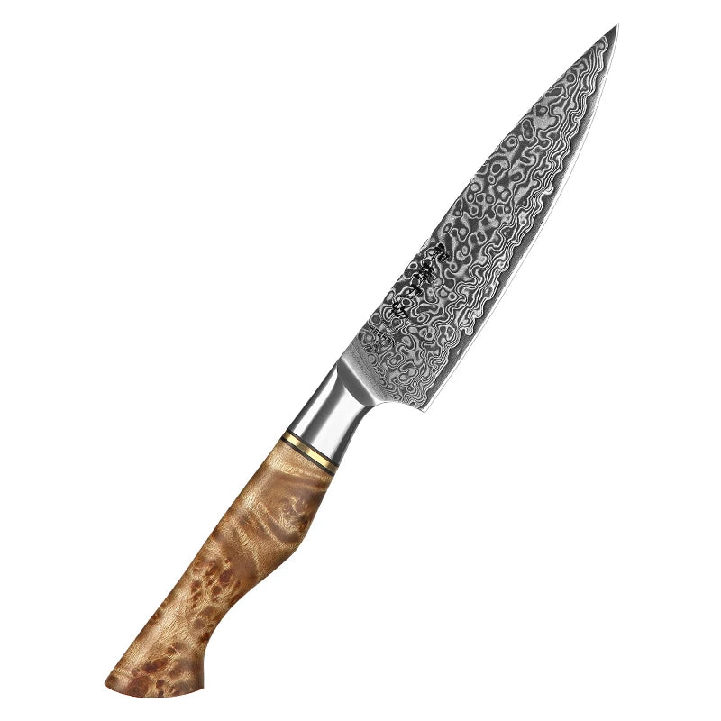 HEZHEN Damascus Knife Set – 5PCS Professional Chef, Santoku, Utility & Paring Knives