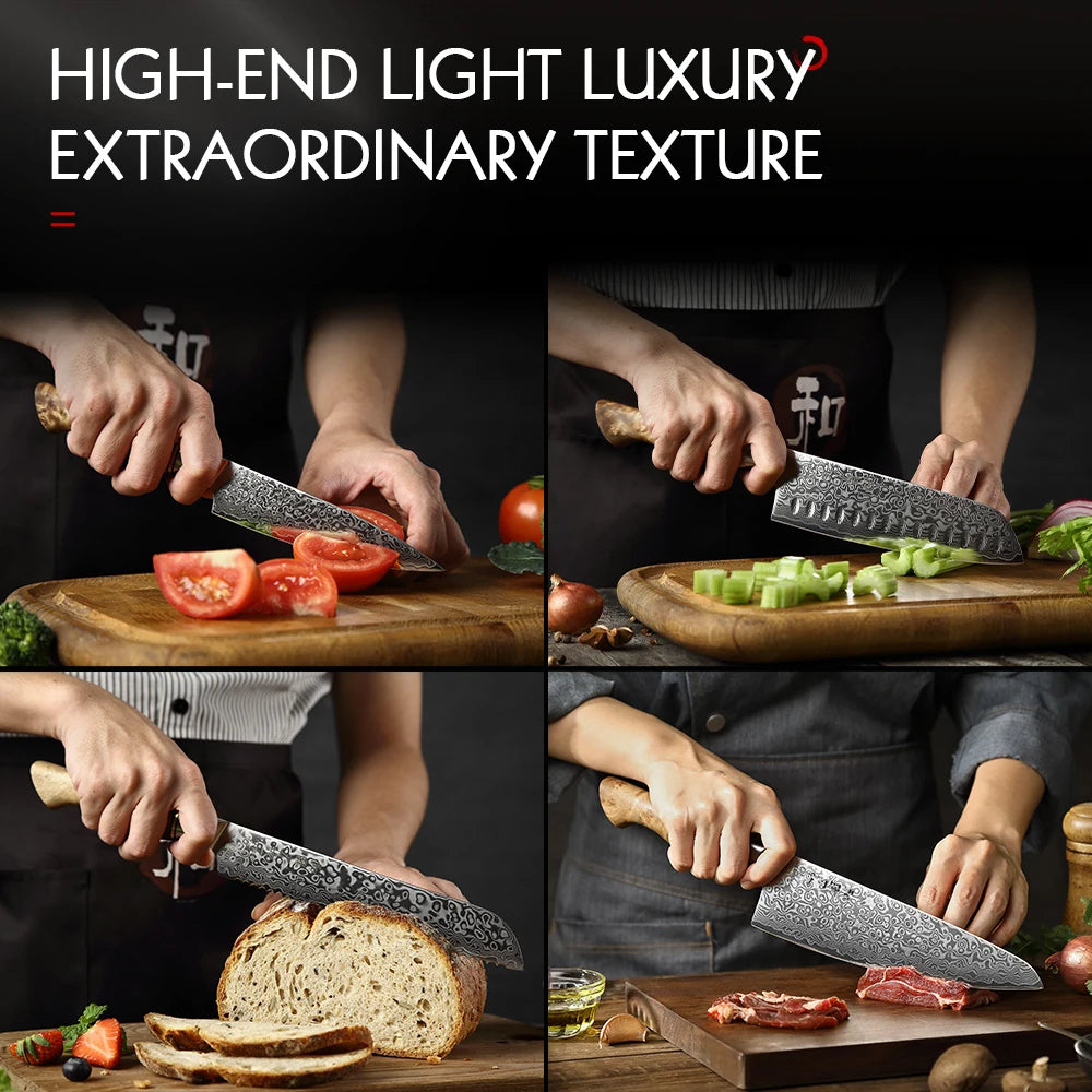 HEZHEN Damascus Knife Set – 5PCS Professional Chef, Santoku, Utility & Paring Knives