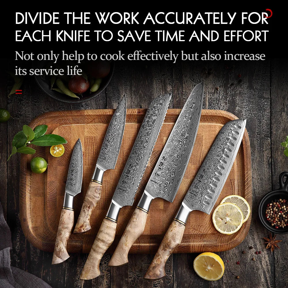 HEZHEN Damascus Knife Set – 5PCS Professional Chef, Santoku, Utility & Paring Knives