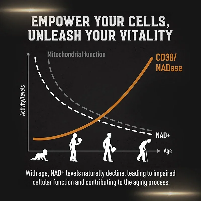 Liposomal NAD+ Supplement – Boost Cellular Energy, Enhance Endurance, Promote Healthy Aging & Brain Function | High Absorption Formula for Men & Women