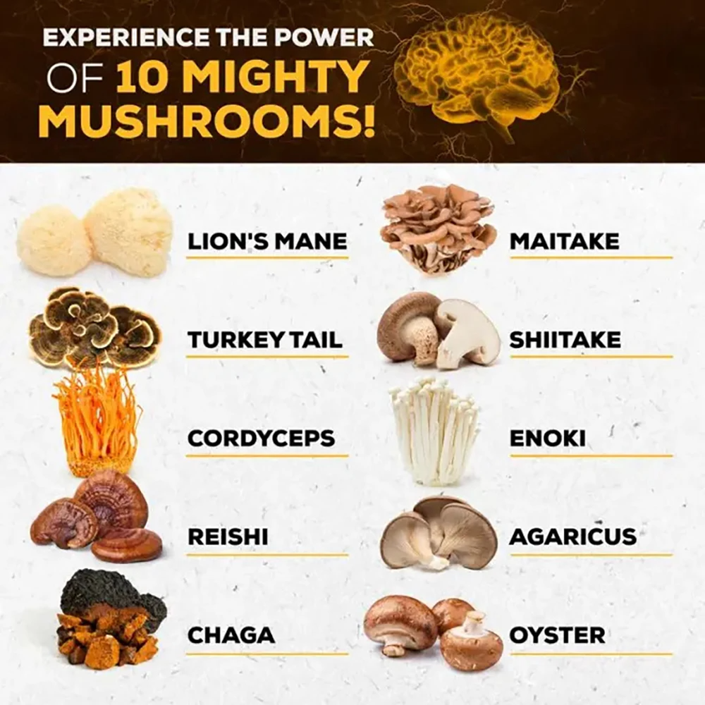 Mushroom Complex Supplement – 10x Strength Lions Mane, Turkey Tail, Reishi, Cordyceps – Brain Boost, Focus & Memory Support for Men and Women