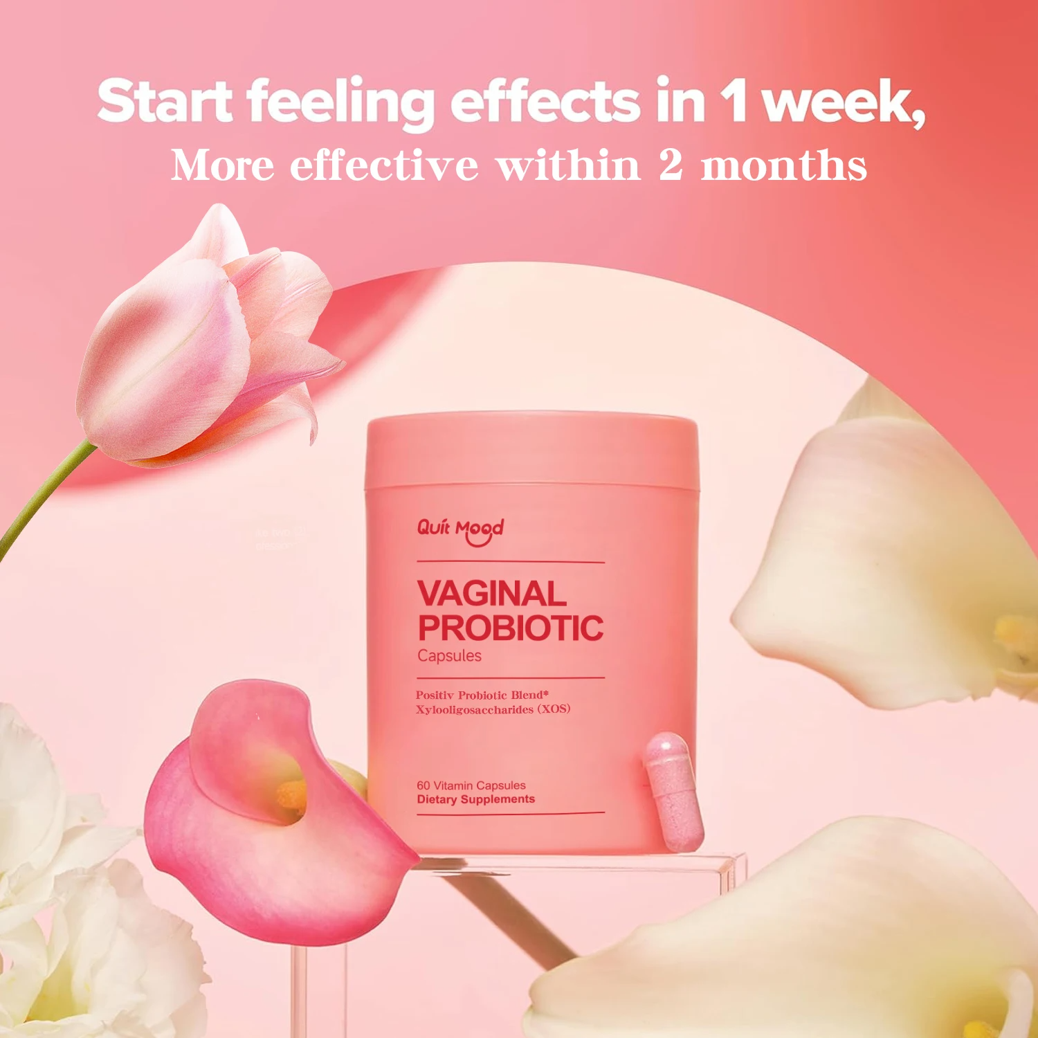 Quit Mood Probiotics for Women – Daily Vaginal & Digestive Health Support | PH Balance, Immunity & Gut Wellness with Lactobacillus Blend