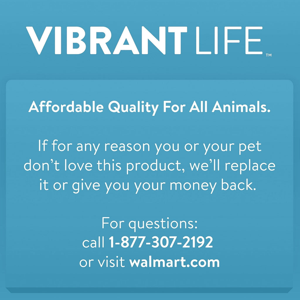 Vibrant Life Pet Kennel Large 40" Dog Crate, Plastic Travel Pet Carrier for Pets 70-90 lb, Grey
