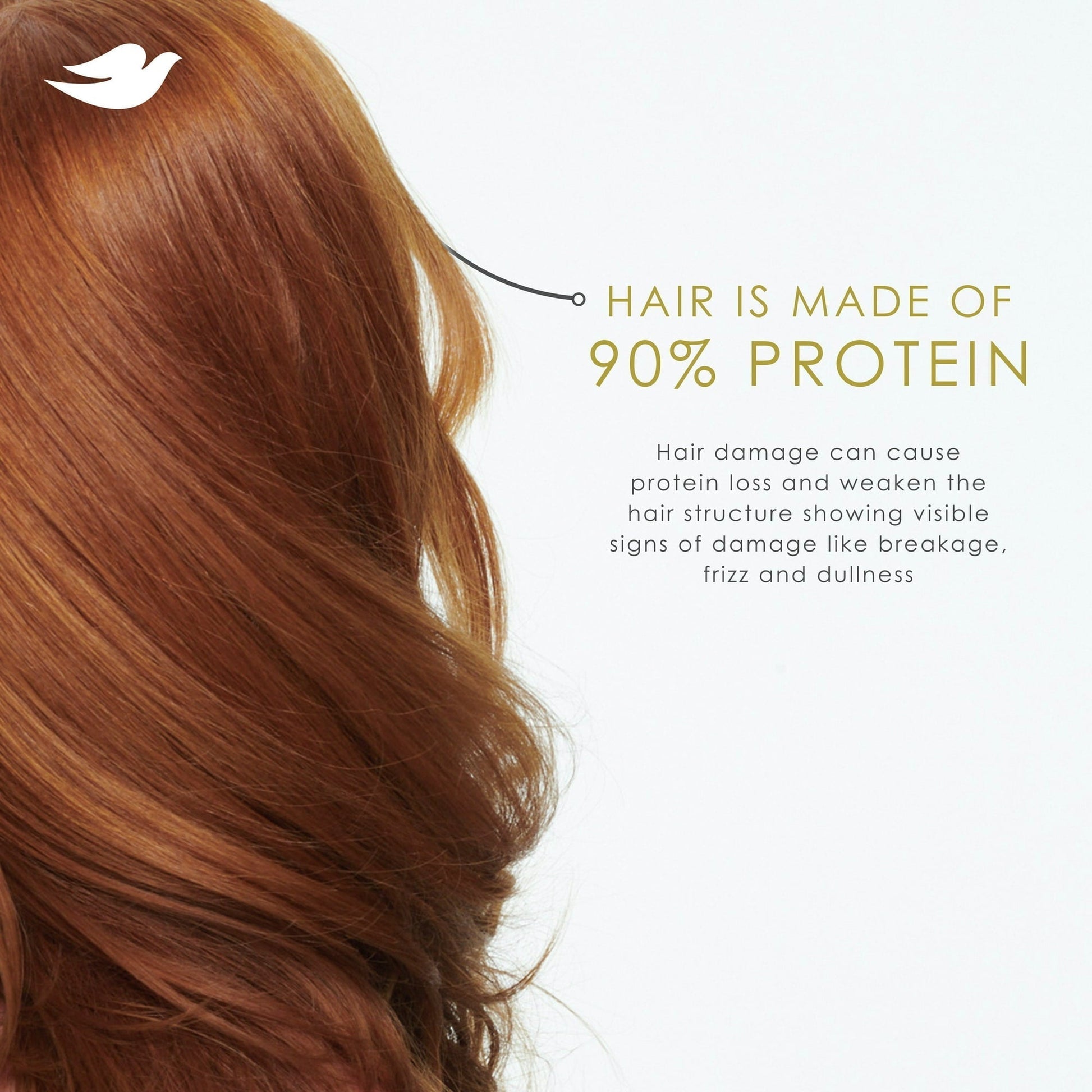 Dove Shampoo for Women Intensive Repair with Bio-Protein Care Technology and Amino Serum, 28 oz